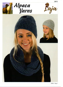 Family Accessories #2813 by Alpaca Yarns